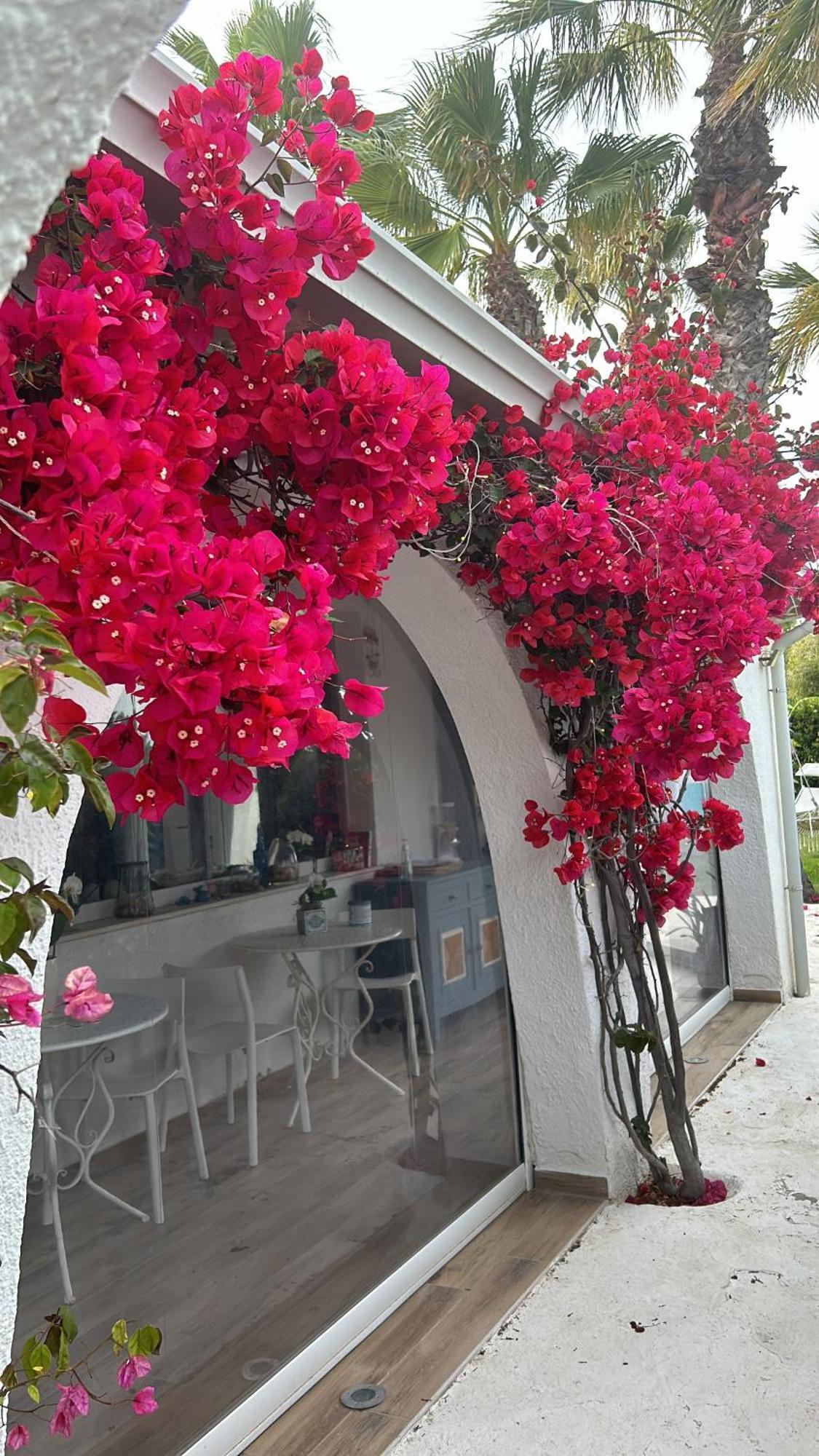 La Casa Di Nina Bed & Breakfast La Maddalena  ภายนอก รูปภาพ